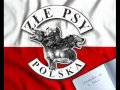 zŁe psy po drugiej stronie