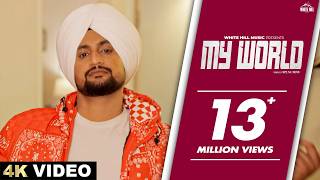 My World (Official Video) Raman Lakhesar | Punjabi Song 2024 | Punjabi Gaane
