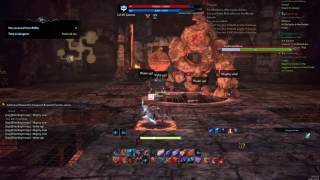 TERA: Level 65 Archer Akasha speedrun