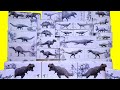 Nanmu Studio Dinosaurs, Lots of Jurassic World & Jurassic Park Dinosaurs T-rex