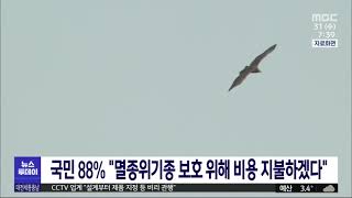 국민 88% 멸종위기종 보호 위해 비용 지불 하겠다/대전MBC