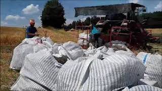 SANIDAS-BIZON INS MKL, Μηχανή Συγκομίδης για ΑΦΦ ΒΟΤΑΝΑ - Harvest Machine for AROMATIC PLANTS HERBS