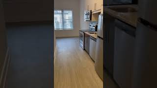 Amazing A1 Studio floorplan- 494 sq ft