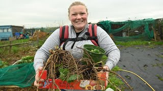 Grow a YEAR'S Worth of Food WITHOUT a Homestead PROVEN Strategies