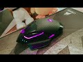 top 5 best mmo mouse 2025