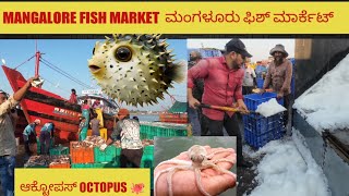 MANGALORE FISH MARKET || DHAKKE|| ಮಂಗಳೂರು ಮೀನು ಮಾರುಕಟ್ಟೆ|| ಧಕ್ಕೆ|| ಬಂದರು ||