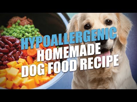 Hypoallergenic Homemade Dog Food Recipe Hypoallergenic Homemade Dog Food Recipe