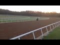 my miss aurelia gallops 4 24 12