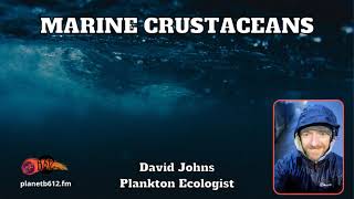 Ep. 46 Clip: Marine crustaceans!