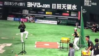 上本選手のトスバッティングに平野コーチがとったポーズが面白いw