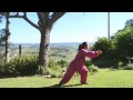 shibashi 18 form with instruction tai chi qigong