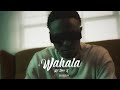 Wahala (music video)