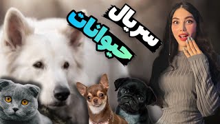 ولاگ بازار حیوانات ایران 😍 قیمت نژادهای متنوع سگ و گربه #animals