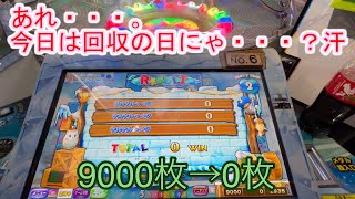 こねこのメダルゲーム日記No.113 カラコロッタフローズンアイランド〇〇編・・・。