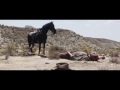 Tom Holkenborg - 