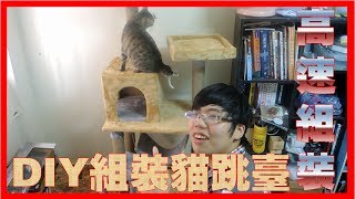 高速組裝！DIY貓跳台｜ZixuanTV