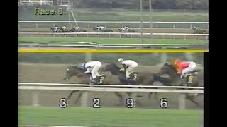 ESPN RaceHorse Digest : March 3rd 1993