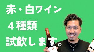 予算600円！必須ワイン４種類飲み比べ