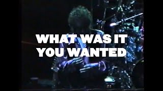 ~ Bob Dylan - What Was It You Wanted? (Edinburgh, April 6, 1995) ~