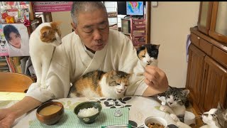 猫と住職。おかずはサバの味噌煮。