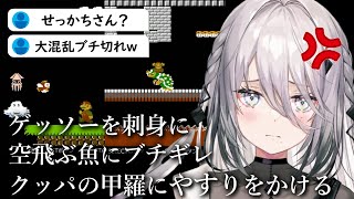 初めてのスーパーマリオ２で大混乱なソフィア・ヴァレンタイン【にじさんじ/切り抜き】