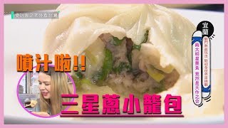 【三星蔥小籠包～兩大明星美食竟是天作之合！】愛玩客 精華