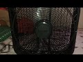 lasko cool colors box fan black varient