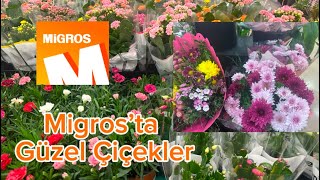 Migros’ta Bu Hafta 🤌 Kokina Çiçekleri Yıl Başı Hazırlıkları 🎄🎄🎄#migros #çiçek #yılbaşı #crismistmas