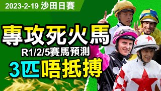 【中佬賽馬預測】2月19日沙田日賽 專攻3場唔抵搏🔥#專攻R1-2-5場#死火馬 賽馬預測 💰🔥🐎#賽馬賠率#賽馬直播 #賽馬貼士#冷馬#過關#爆冷