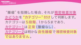 乳腺腫瘤とカテゴリーについて