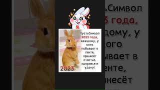 год зайца кролик 🐰 кот 😺#гороскоп #новыйгод #елка #цитаты #высказывание #поддержи👍➕ #shorts #likee