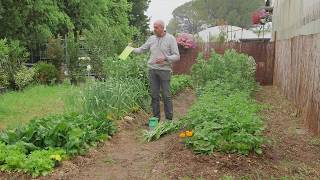 Agroécologie au potager : comprendre et se lancer pour des légumes bio et sains 🌱
