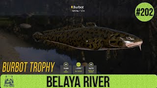 Russian Fishing 4 - Belaya River - Burbot Trophy - #202