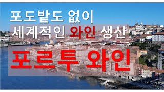 [느림보세계여행] (1) 포르투갈 포르투 - '포르투와인'을 아시나요?