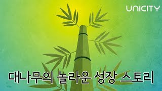 [성장 스토리] 대나무의 놀라운 성장 과정