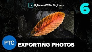 Exporting Photos - Lightroom CC for Beginners FREE Course - 06