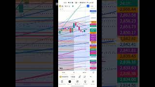 '25/2/6 ゴールドFX 朝の相場考察 #XAUUSD #ゴールド #FX #GOLD