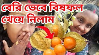 বেরি ভেবে বিষফল খেয়ে নিলাম।গোল্ডেন বেরি এই প্রথম।@priyankakrishavlifestyle#Daily vlog#viralvideo