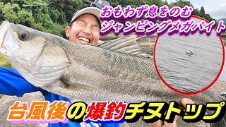 ３人で６匹！トップ縛りで最高の釣果！台風の後は釣れる！？能登チヌトップでフェイキードッグが大活躍！クロダイ釣り