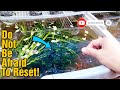 6 HABITS TO BECOME A SUCCESSFUL FISHKEEPER OF Guppy, Molly, Danios, Tetra and Any Fish!