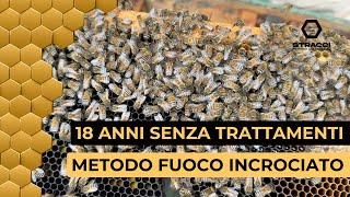 Metodo del Fuoco Incrociato per Sconfiggere la Varroa SENZA TRATTAMENTI CHIMICI!