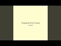 Fragments Echo Clouds