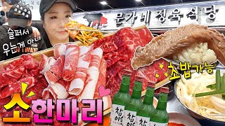 간단하게 소한마리 주세요~ (ft.소고기초밥,된찌,빨뚜) 가성비 문가네정육식당 (등심,토시살,살치살,차돌박이,우삼겹,갈비살,부채살) / beef,korean food,mukbang