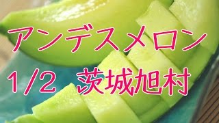 アンデスメロン 茨城県鉾田市旭地区 プレミアム糖度18度 旭村 通信販売で果物のお取り寄せ。Japanese Andes melon