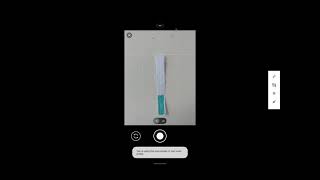 Sample Observation Mobile