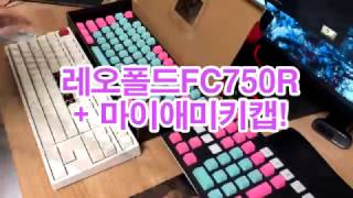 레오폴드FC750R + 마이애미 키캡 교체