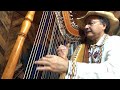 Mariano Gonzalez Master Harpist from Paraguay