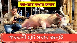 গাবতলী হাটে আর কেউ আসতে পারবে না ? সব গরু ছাগল মানুষ শুধু একজনেরই