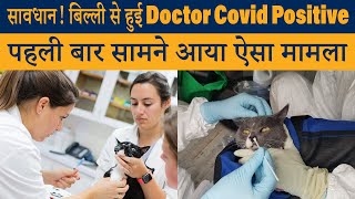 सावधान! बिल्ली से हुई veterinary doctor covid positive, पहली बार सामने आया ऐसा मामला - 5 Dariya News