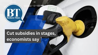 Cut subsidies in stages, economists say